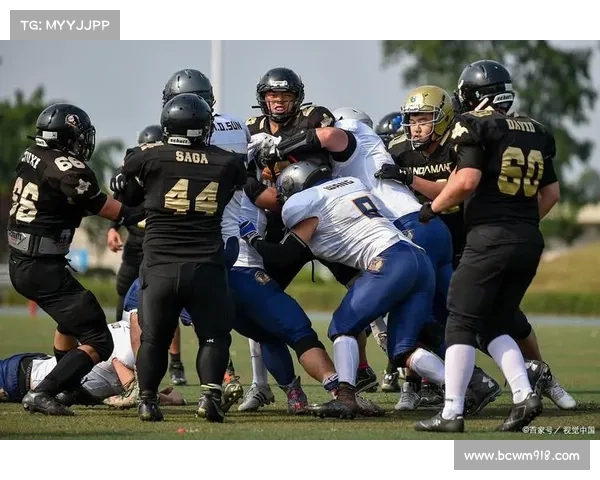 世界著名搏击赛事—国际顶尖搏击高手巅峰较量技艺比拼力量碰撞激情点燃全球瞩目赛事