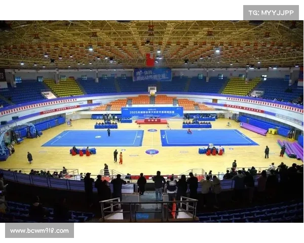 武术中心赛事活动,武术运动中心